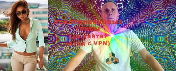 apvp Надым